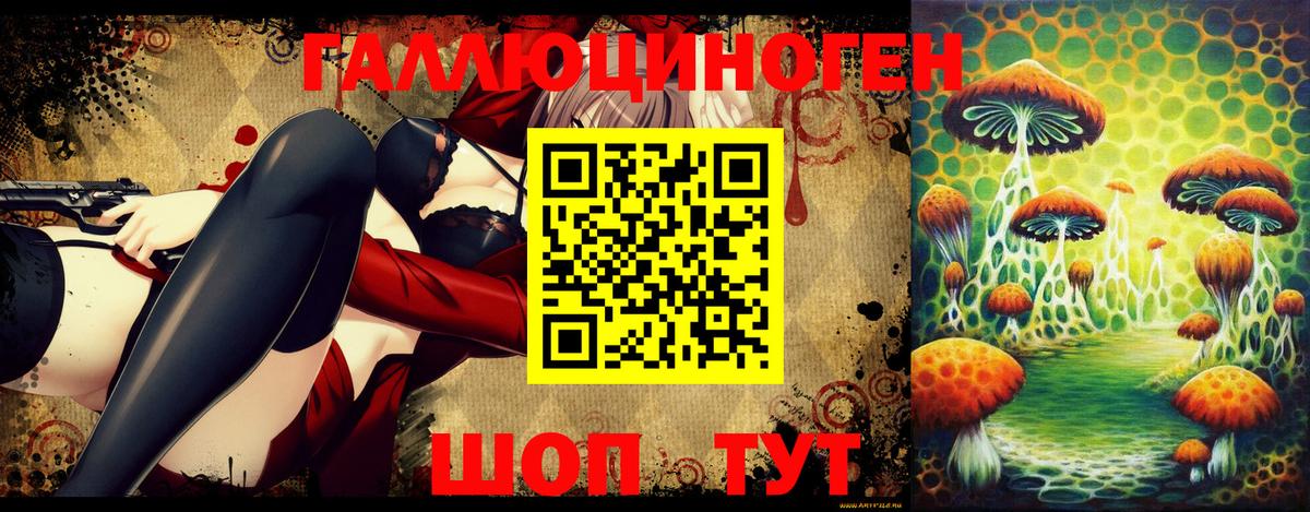 Мурино  Галлюциногенные грибы мицелий  даркнет сайт  Вход с VPN 