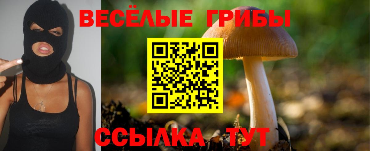 Галлюциногенные грибы мицелий Мурино